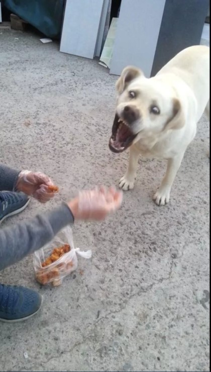 포스트의 이미지