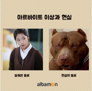 포스트의 이미지