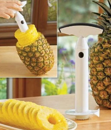 포스트의 이미지