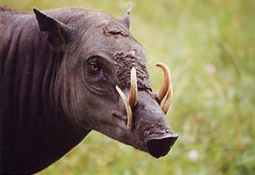 포스트의 이미지