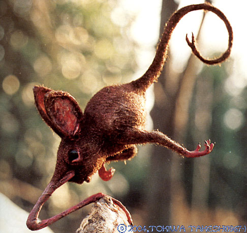 포스트의 이미지