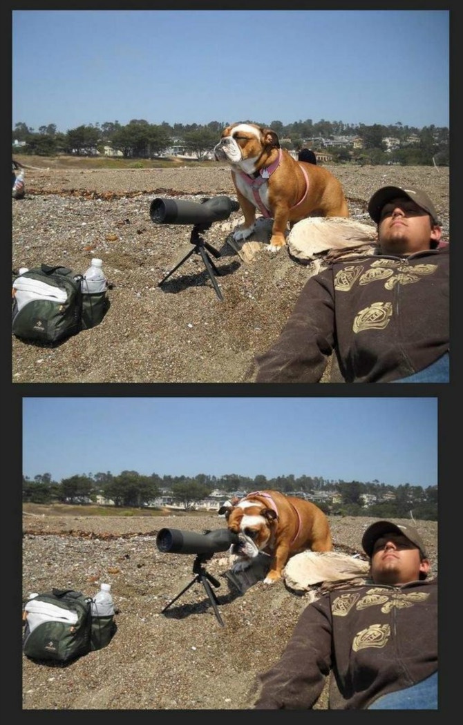 포스트의 이미지