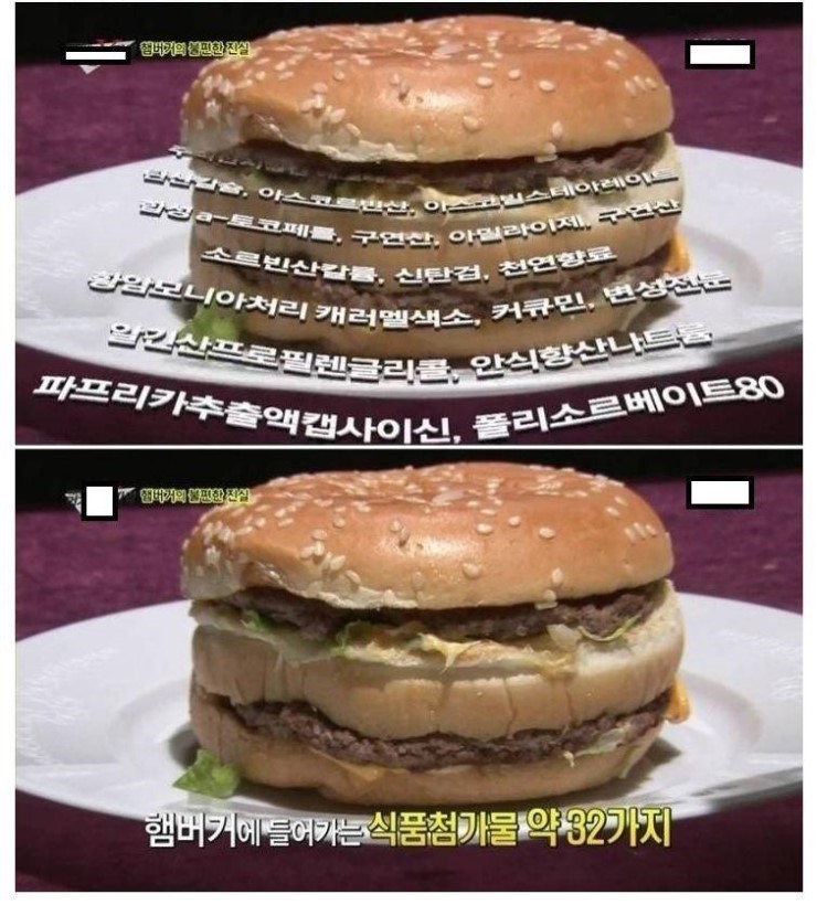 햄버거의 진실☆