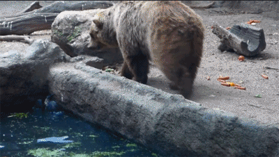 포스트의 이미지