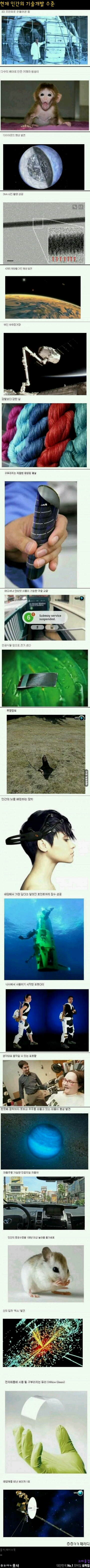 포스트의 이미지