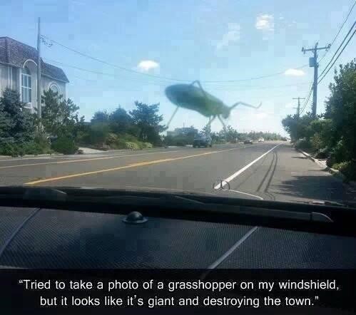 포스트의 이미지