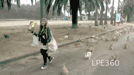 포스트의 이미지