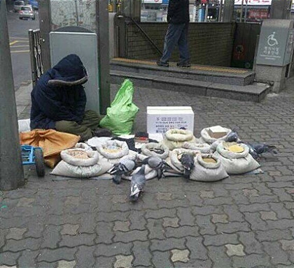 아줌마를 깨워야하나?