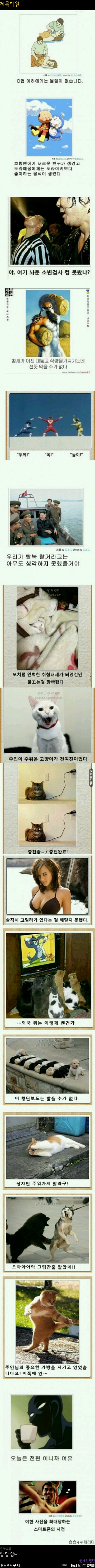 포스트의 이미지