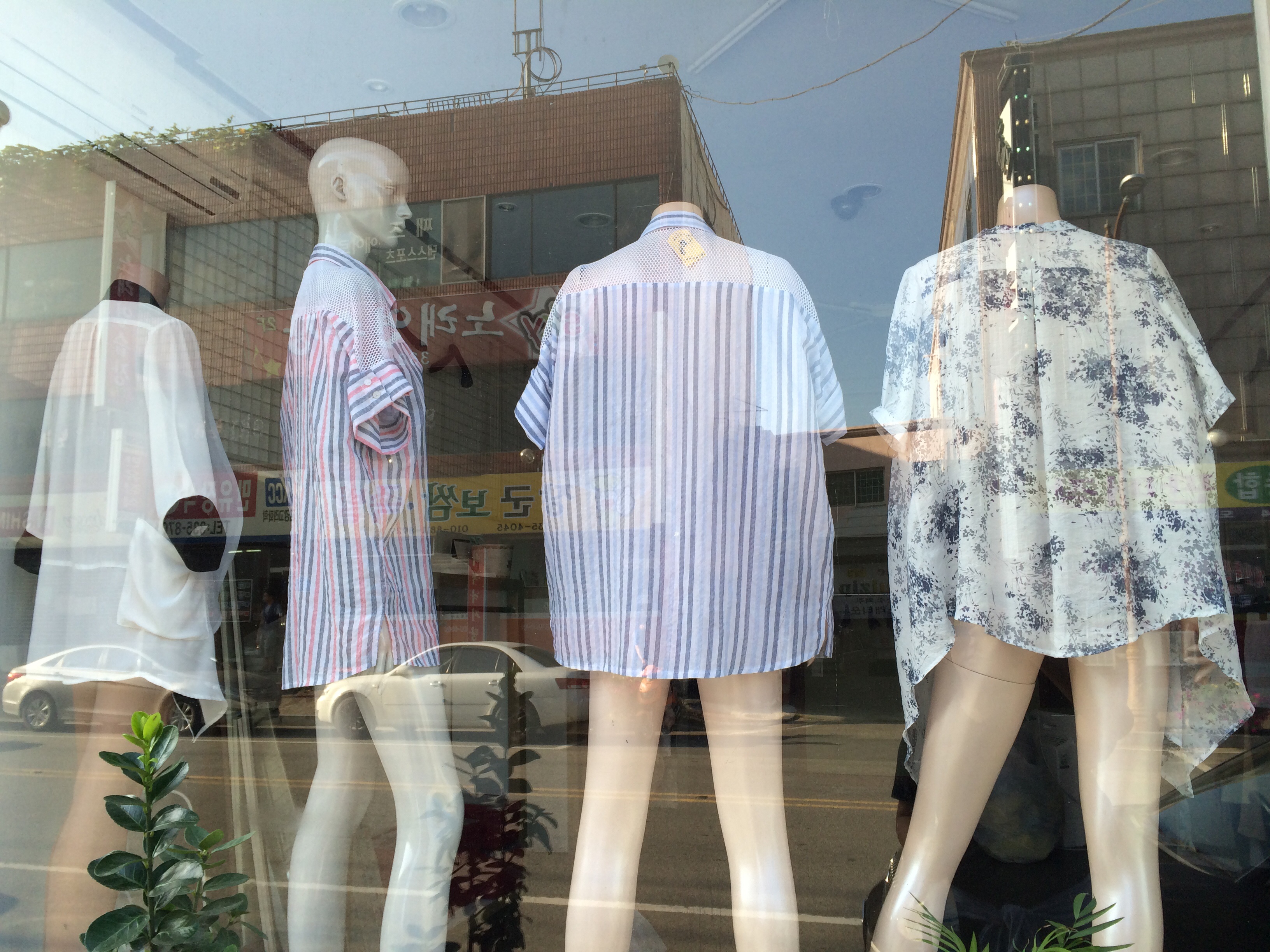 포스트의 이미지