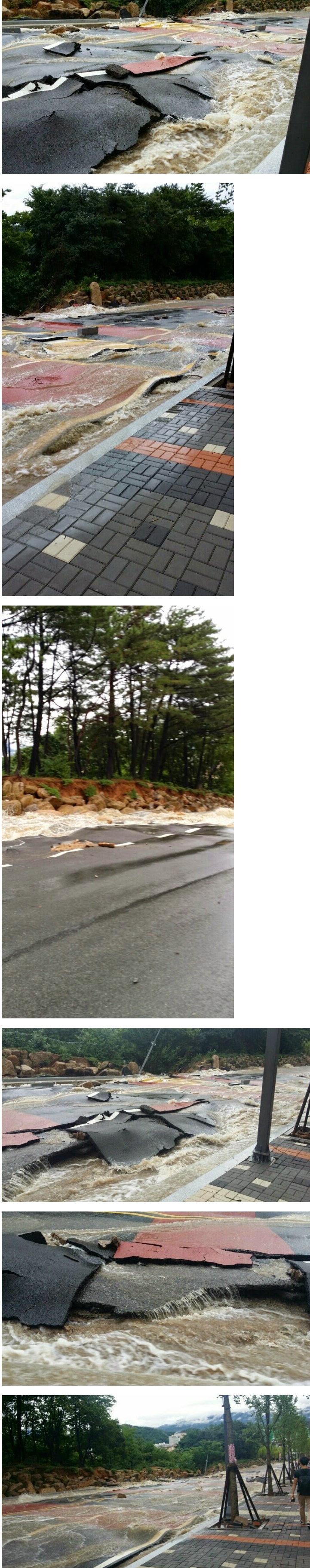 포스트의 이미지