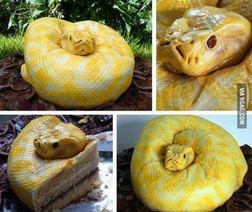 포스트의 이미지