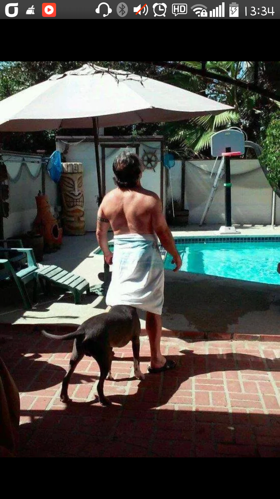 포스트의 이미지