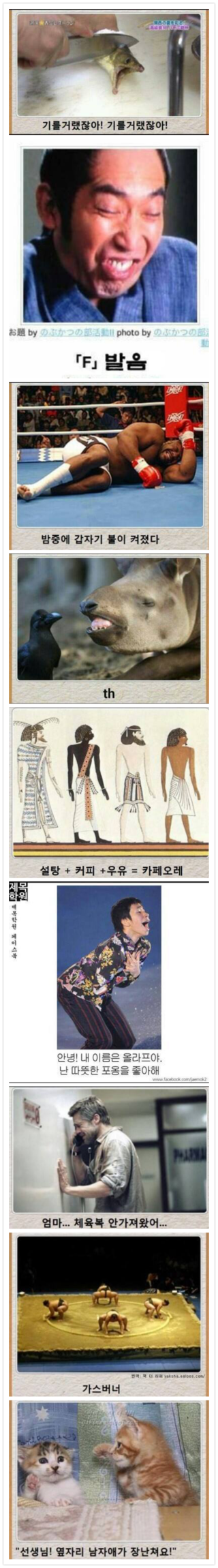 포스트의 이미지