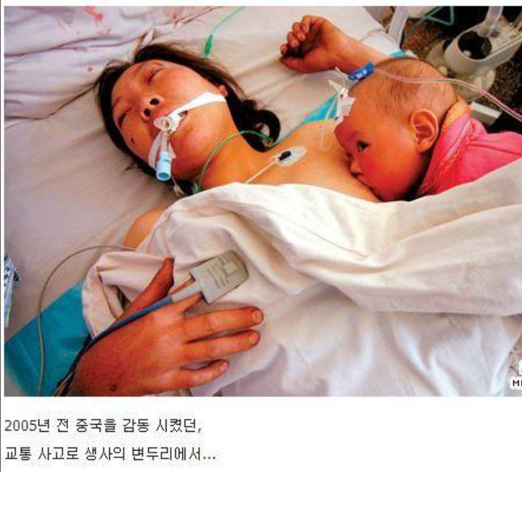 포스트의 이미지