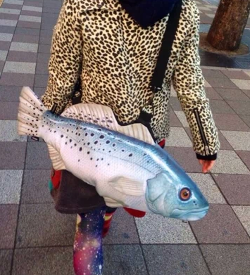 포스트의 이미지