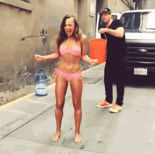 포스트의 이미지