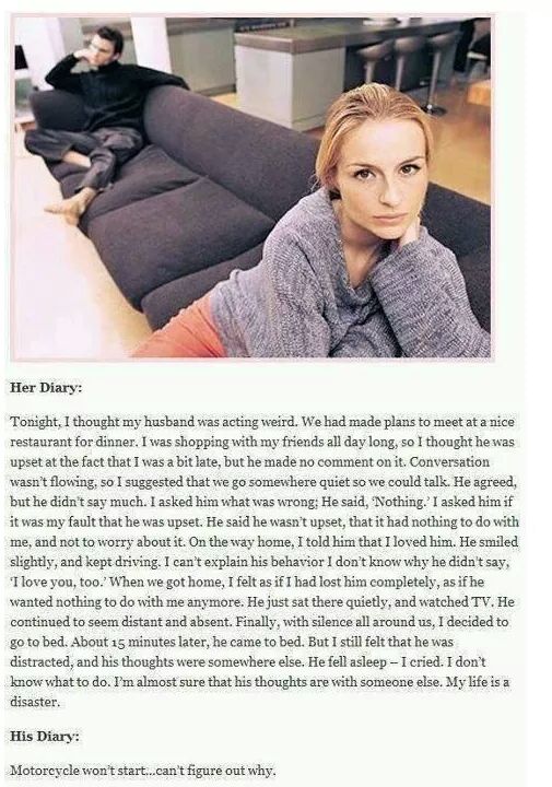 포스트의 이미지