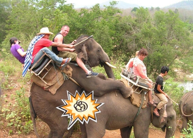 포스트의 이미지