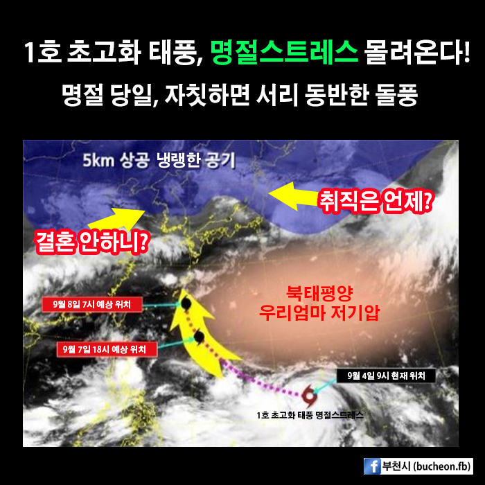 포스트의 이미지