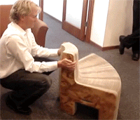 포스트의 이미지