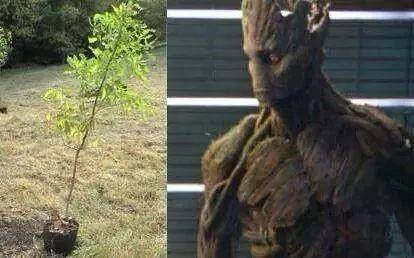 포스트의 이미지