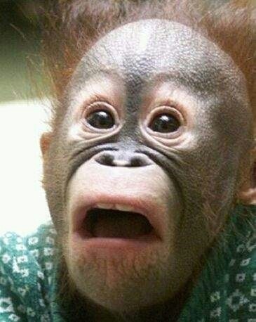 포스트의 이미지