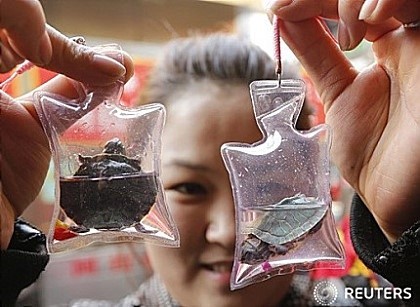 포스트의 이미지