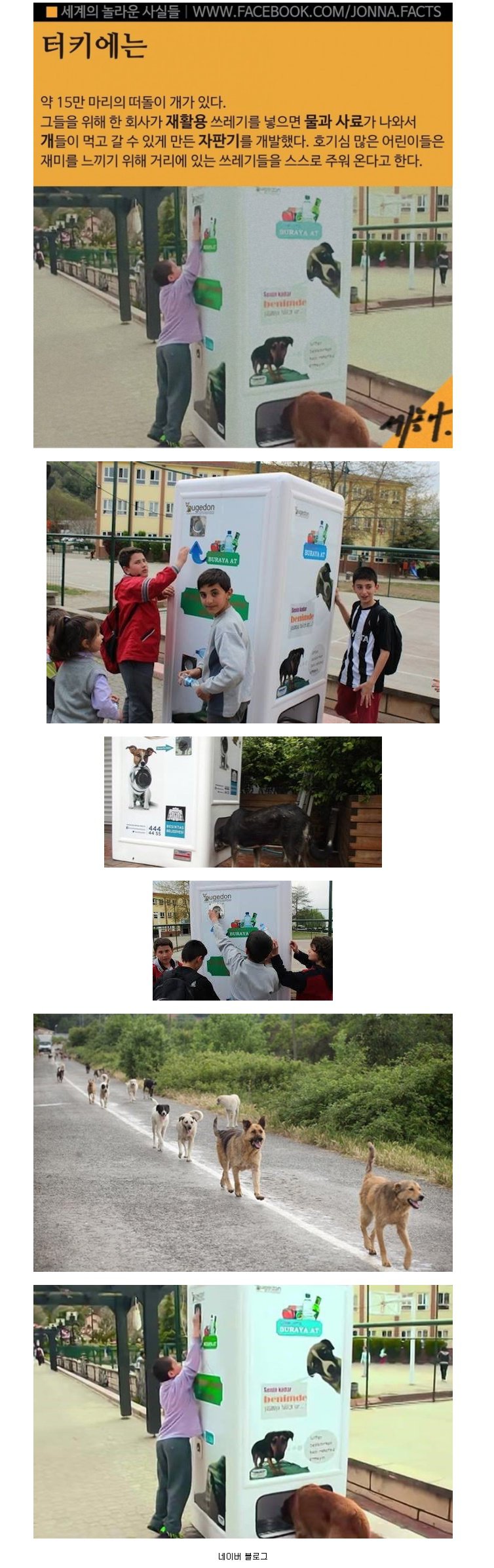 포스트의 이미지