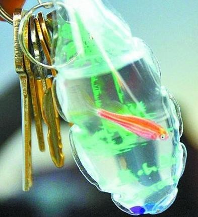 포스트의 이미지