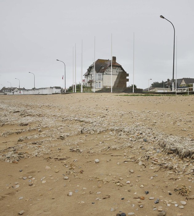 포스트의 이미지