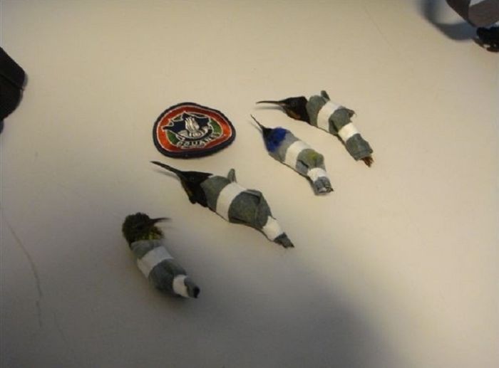 포스트의 이미지