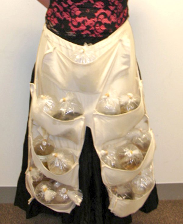 포스트의 이미지