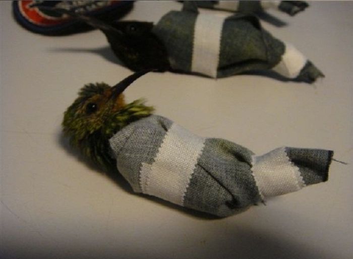 포스트의 이미지