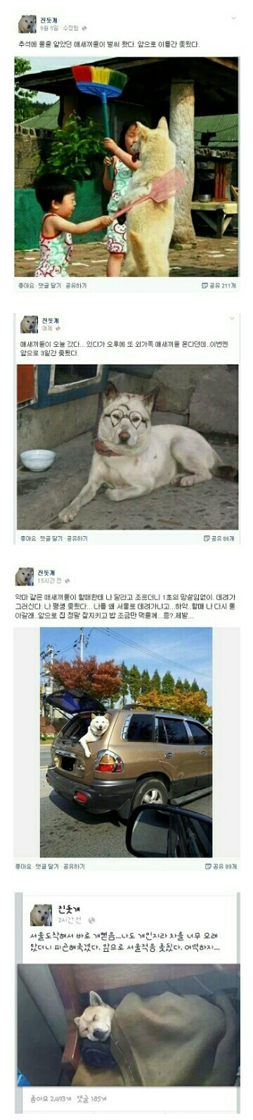 포스트의 이미지
