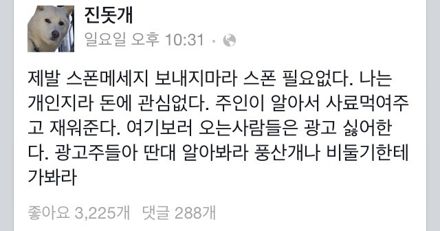 스폰 거부한 진돗개.jpg