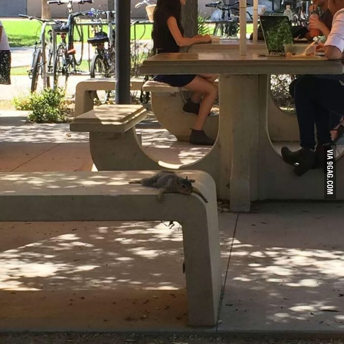 포스트의 이미지