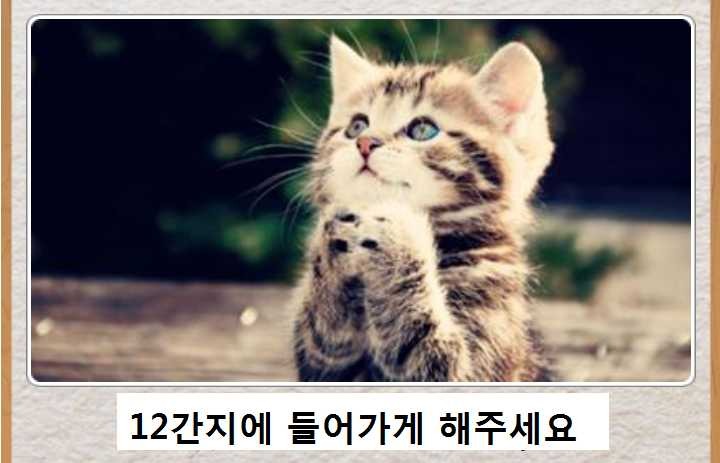 포스트의 이미지