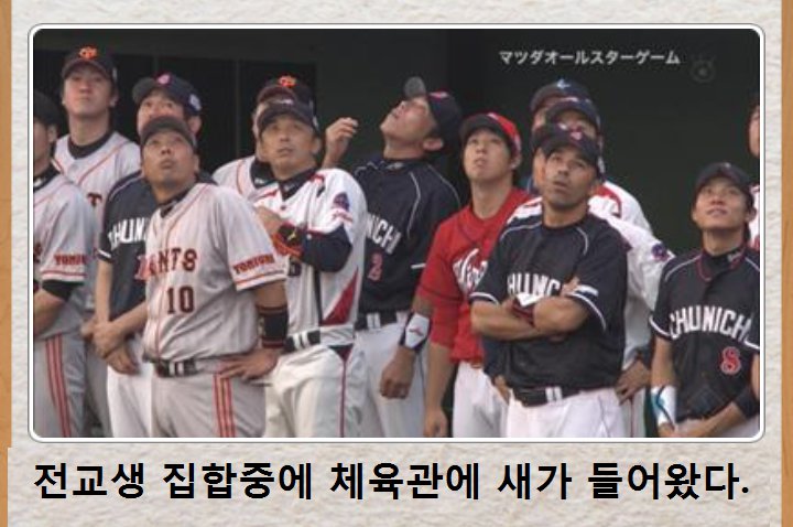 포스트의 이미지