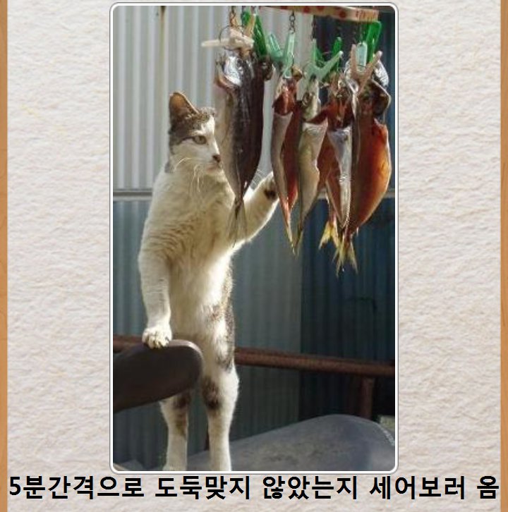 포스트의 이미지