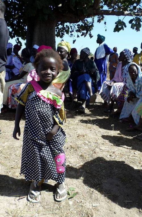 포스트의 이미지