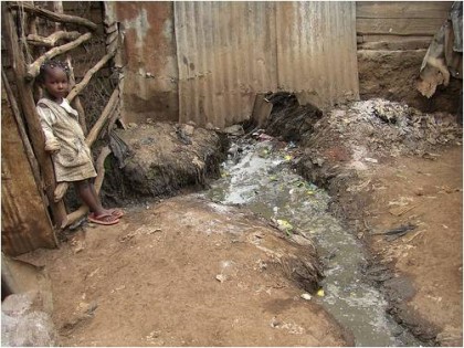 포스트의 이미지