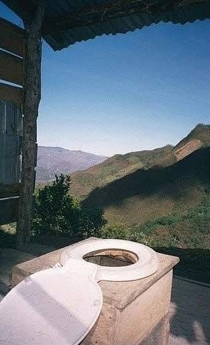 포스트의 이미지