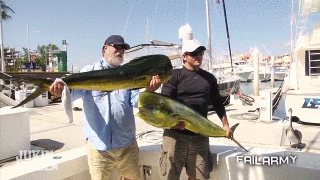 포스트의 이미지