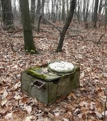 포스트의 이미지