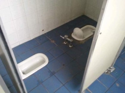 포스트의 이미지