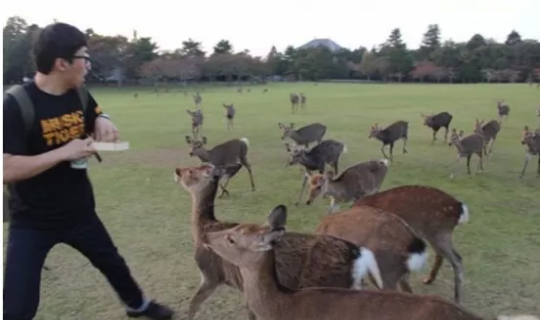 포스트의 이미지