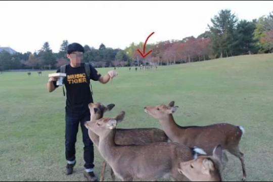 포스트의 이미지