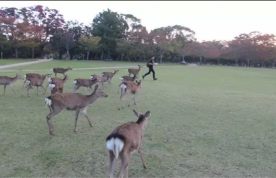 포스트의 이미지