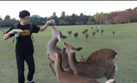 포스트의 이미지